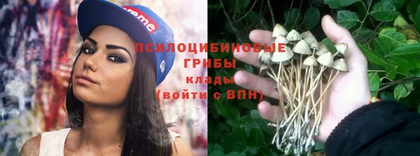 соль ск Абдулино