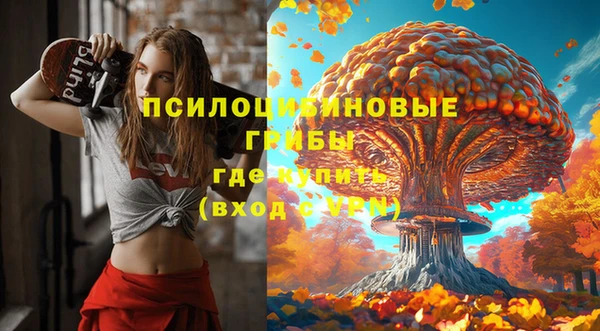 соль ск Абдулино