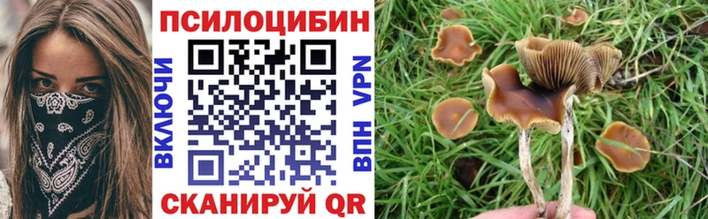 hydra онион  Кяхта  Псилоцибиновые грибы прущие грибы 